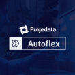 Descubra como o Sistema Autoflex Transforma sua Produção!