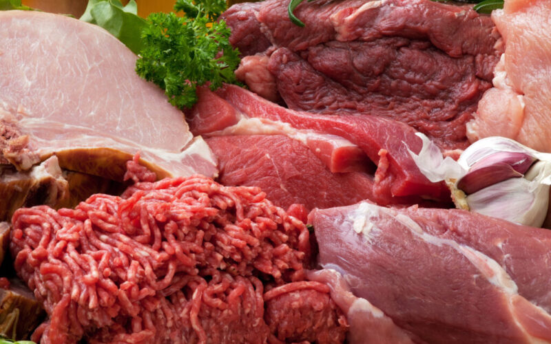 Descubra os Segredos da Carne Moída: Prepare Pratos Irresistíveis com Este Guia Completo