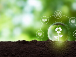 Descubra Como Certificações Sustentáveis Podem Transformar Sua Empresa e Impulsionar a Economia Circular