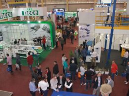 Descubra como o Interplast Turbina seu Negócio!