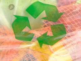 Descubra como a rotulagem ambiental pode transformar suas compras e ajudar o planeta de maneira surpreendente