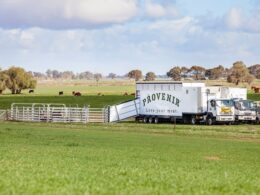 Frigorífico móvel realiza abate de bovinos diretamente nas fazendas, facilitando a logística para produtores rurais