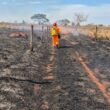 Bombeiros combatem incêndio em pastagem perto de frigorífico da JBS em Ituiutaba