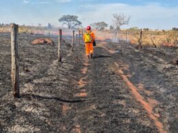 Bombeiros combatem incêndio em pastagem perto de frigorífico da JBS em Ituiutaba