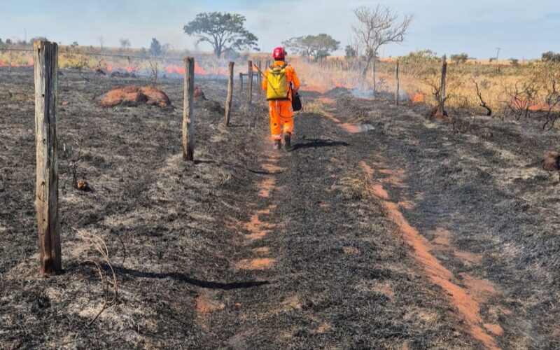 Bombeiros combatem incêndio em pastagem perto de frigorífico da JBS em Ituiutaba