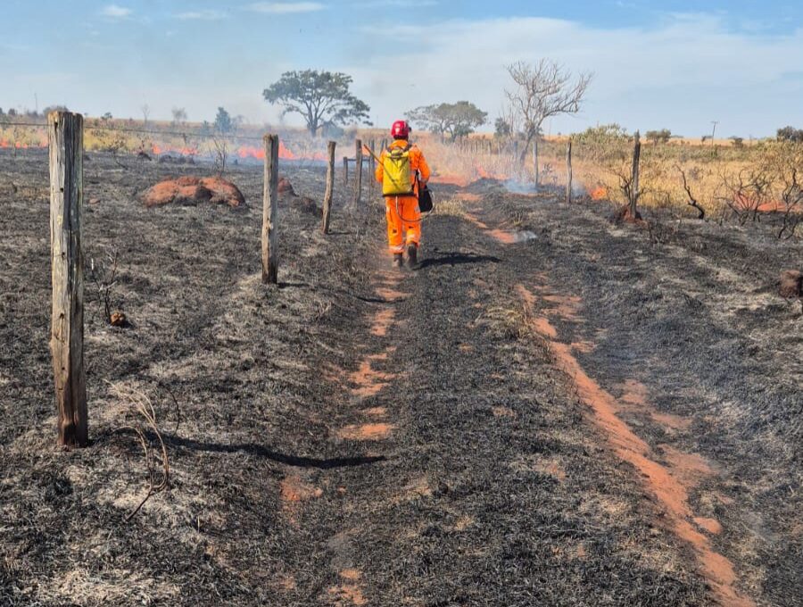 Bombeiros combatem incêndio em pastagem perto de frigorífico da JBS em Ituiutaba