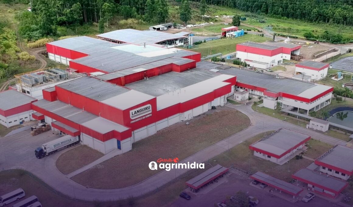 Crise na Languiru: paralisação afeta produção e preocupa setor no RS