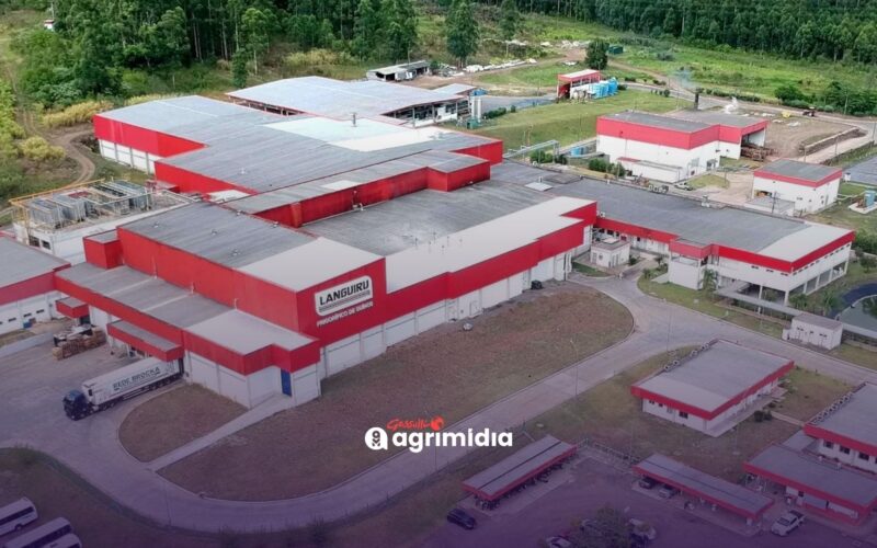 Crise na Languiru: paralisação afeta produção e preocupa setor no RS