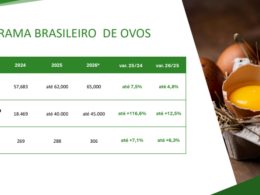 Brasil à beira de um boom da proteína animal: Santin prevê recordes e uma janela de ganhos