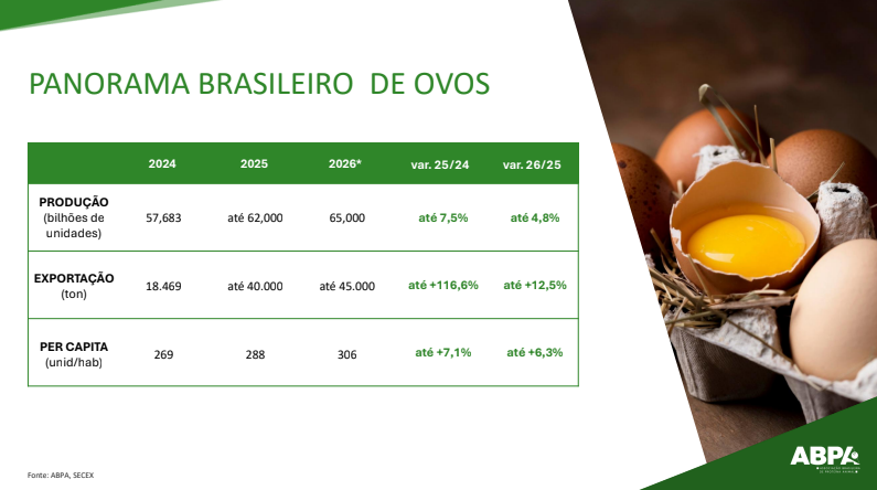 Brasil à beira de um boom da proteína animal: Santin prevê recordes e uma janela de ganhos