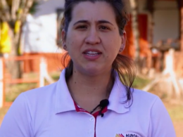Prêmio Quem é Quem: os finalistas da Assistência Técnica em Suinocultura que aceleram lucro e sanidade
