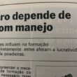 #TBT Agrimidia: Manejo certo, lucro alto — bastidores das decisões que tornaram safras campeãs
