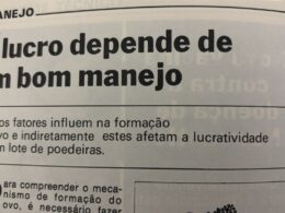 #TBT Agrimidia: Manejo certo, lucro alto — bastidores das decisões que tornaram safras campeãs