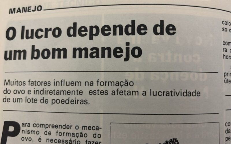 #TBT Agrimidia: Manejo certo, lucro alto — bastidores das decisões que tornaram safras campeãs