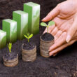 2025 à Vista: Prepare-se para Impactos e Oportunidades na Produção Agropecuária!