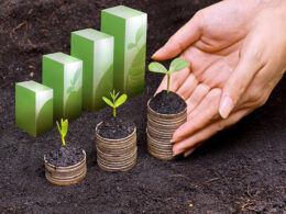 2025 à Vista: Prepare-se para Impactos e Oportunidades na Produção Agropecuária!