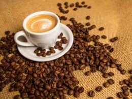 2025: Desafios Climáticos e Logísticos Ameaçam a Prosperidade do Setor Cafeeiro