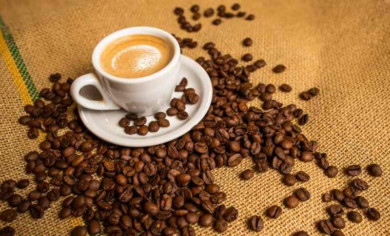 2025: Desafios Climáticos e Logísticos Ameaçam a Prosperidade do Setor Cafeeiro