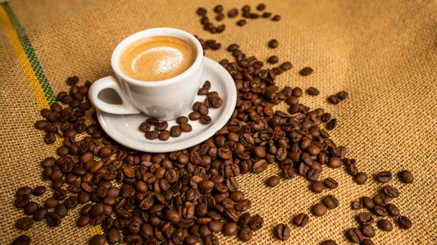 2025: Desafios Climáticos e Logísticos Ameaçam a Prosperidade do Setor Cafeeiro