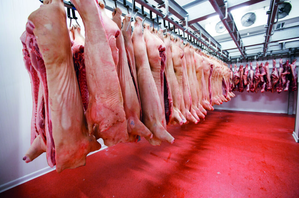 A Revolução da Proteína Animal: Mais de R$ 200 Milhões Transformam a Indústria no Acre!