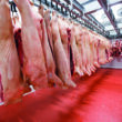 A Revolução da Proteína Animal: Mais de R$ 200 Milhões Transformam a Indústria no Acre!