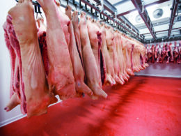 A Revolução da Proteína Animal: Mais de R$ 200 Milhões Transformam a Indústria no Acre!