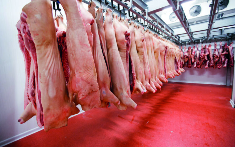 A Revolução da Proteína Animal: Mais de R$ 200 Milhões Transformam a Indústria no Acre!