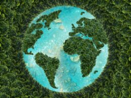 A Revolução Verde: Como a Parceria entre Aquapak e Industrial Physics Está Transformando o Futuro das Embalagens!