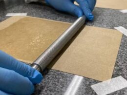 Cientistas brasileiros criam papel vegetal impermeável e antibacteriano que pode substituir plástico