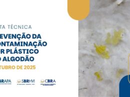 Abrapa publica nota técnica para prevenir contaminação por plástico no algodão