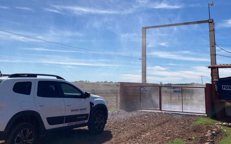 Adapar lança ofensiva de biosseguridade e transforma granjas do Paraná em fortalezas sanitárias