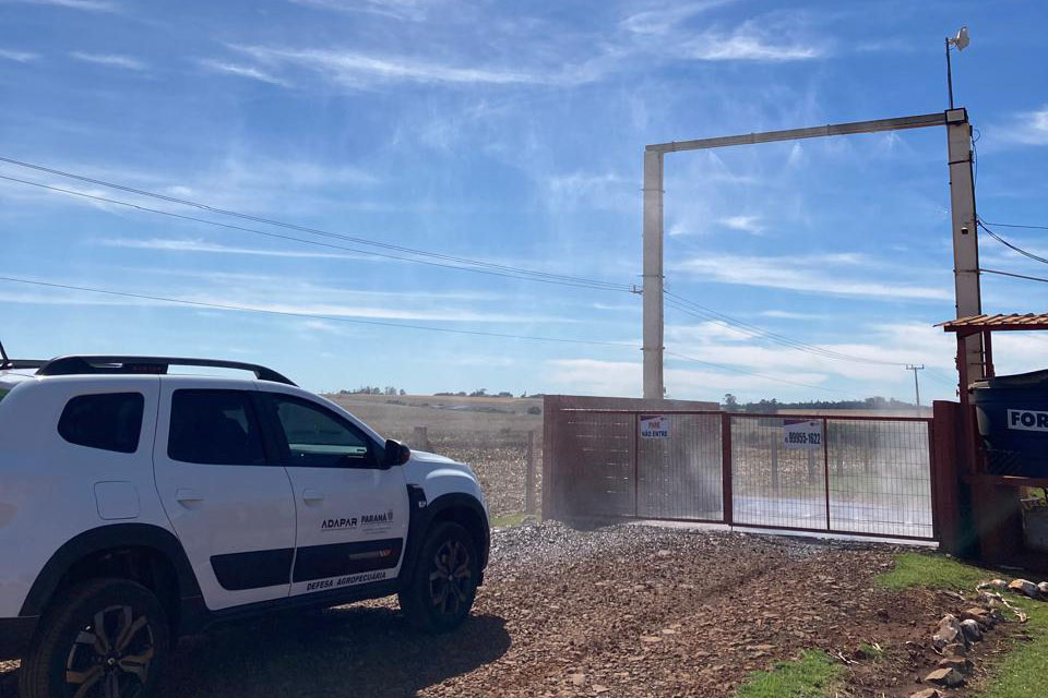 Adapar lança ofensiva de biosseguridade e transforma granjas do Paraná em fortalezas sanitárias