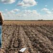 Agro em Alerta: 2024 Marca Recorde de 1,2 Mil Recuperações Judiciais no Campo