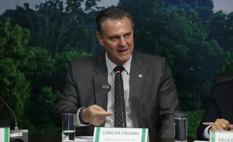 Alerta Avançado: O Que o Governo Revela Sobre a Influenza Aviária e Como Isso Impacta Você!