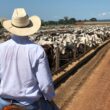 Apenas uma entre JBSS32, MBRF3 e BEEF3 recebe recomendação de compra de analistas