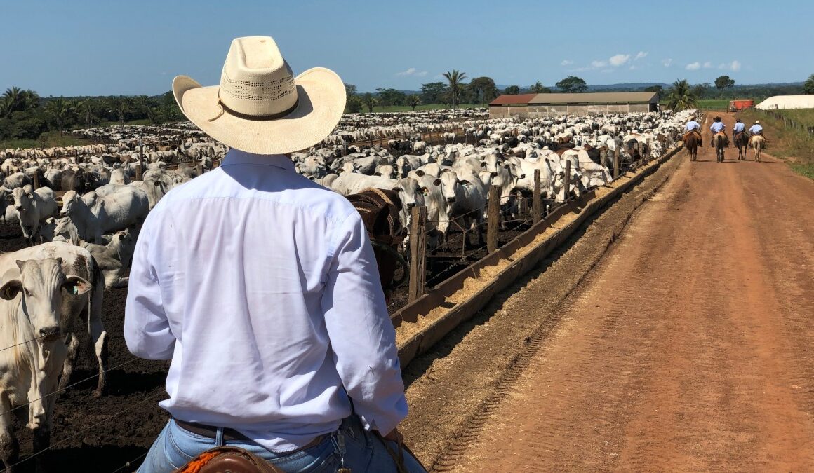 Apenas uma entre JBSS32, MBRF3 e BEEF3 recebe recomendação de compra de analistas