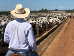 Apenas uma entre JBSS32, MBRF3 e BEEF3 recebe recomendação de compra de analistas