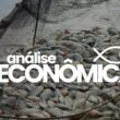 Aquicultura em Ascensão: Como o Crescimento dos Preços Pode Transformar Seu Investimento!