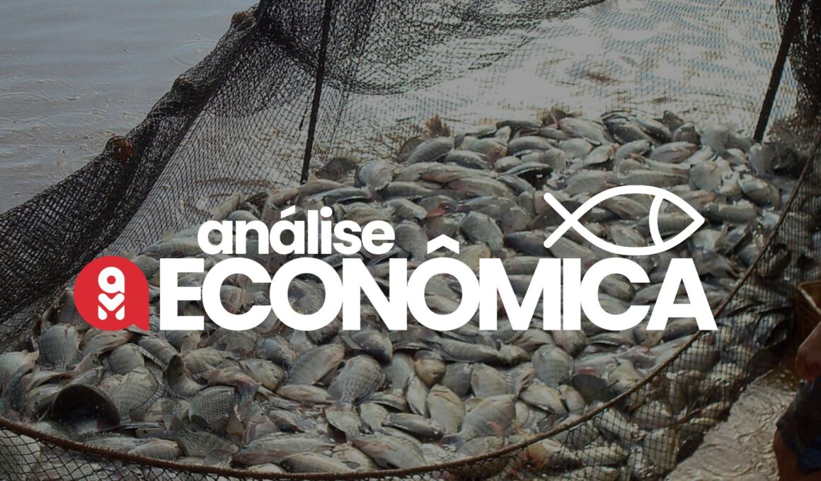 Aquicultura em Ascensão: Como o Crescimento dos Preços Pode Transformar Seu Investimento!