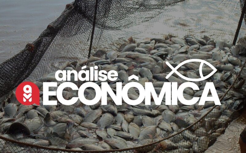 Aquicultura em Ascensão: Como o Crescimento dos Preços Pode Transformar Seu Investimento!