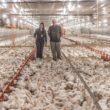 Aurora Coop: R$ 1,4 Bilhão em Inovações que Transformam o Bem-Estar Animal e Elevam a Produção!
