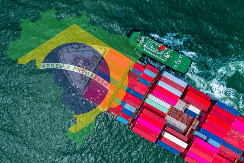 Avicultura Brasileira em Alta: Como a Exportação Está Transformando o Mercado e Surpreendendo o Mundo!