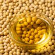 Biodiesel em Queda: Por Que o Seu Estoque de Óleo de Soja Vai Crescer Exponencialmente!