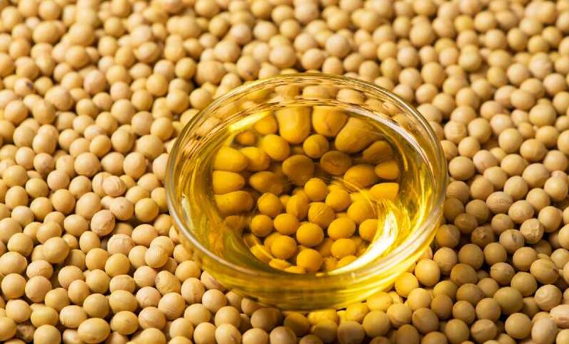 Biodiesel em Queda: Por Que o Seu Estoque de Óleo de Soja Vai Crescer Exponencialmente!