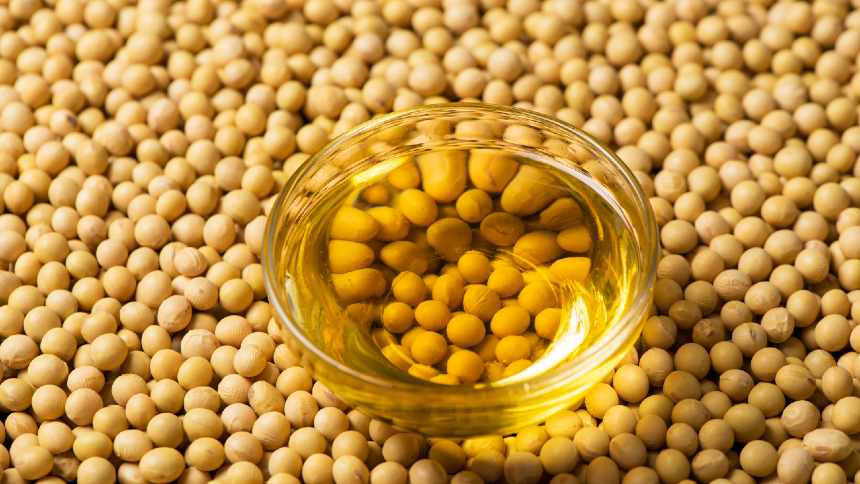 Biodiesel em Queda: Por Que o Seu Estoque de Óleo de Soja Vai Crescer Exponencialmente!