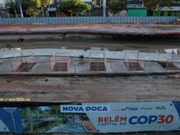 Brasil à Frente: Como a COP30 Pode Transformar Nossas Expectativas Climáticas!