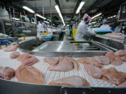 Brasil à mesa: Quatro países abrem portas para o frango brasileiro e prometem sabor nas suas cozinhas!