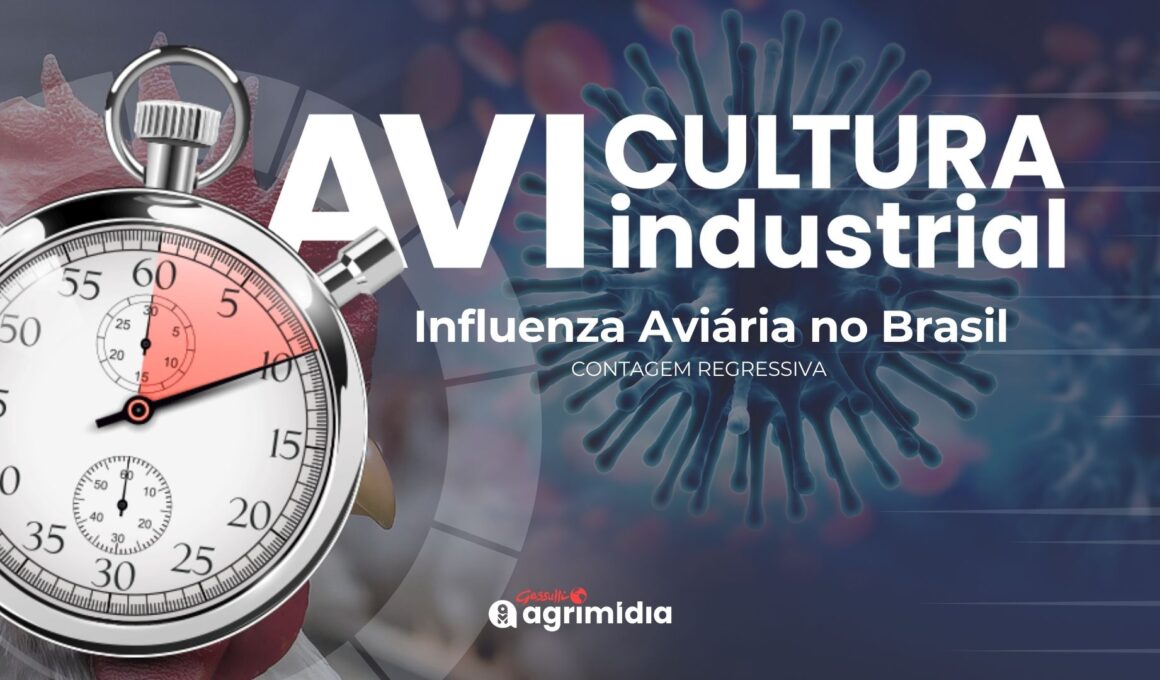 Brasil a um Passo de Retomar o Status de Livre da Influenza Aviária: O Que Isso Significa para Nossa Economia?