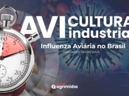 Brasil a um Passo de Retomar o Status de Livre da Influenza Aviária: O Que Isso Significa para Nossa Economia?