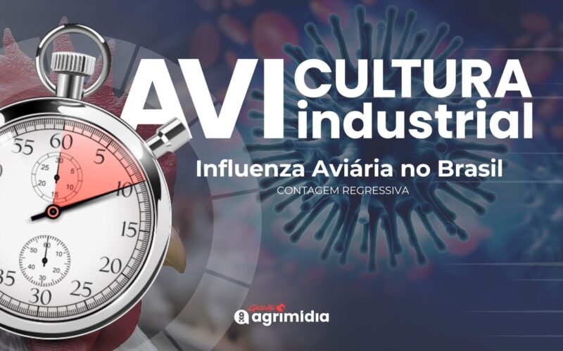 Brasil a um Passo de Retomar o Status de Livre da Influenza Aviária: O Que Isso Significa para Nossa Economia?